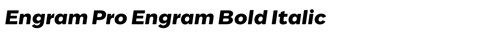 Engram Pro Engram Bold Italic image